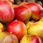 The Golden Fruit’s Mango Marvel